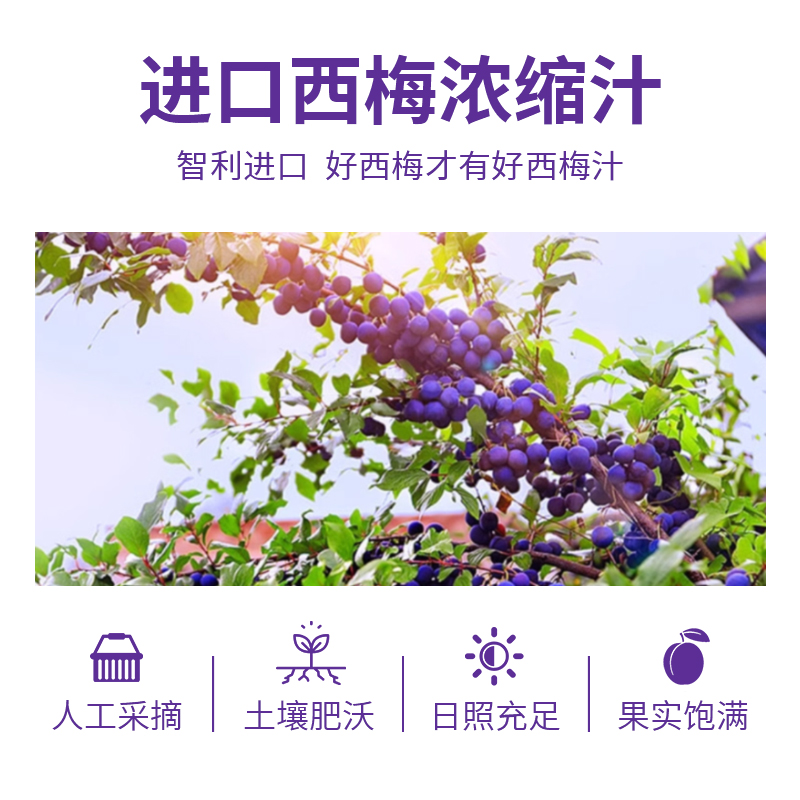 巴洛仕益生元西梅汁膳食纤维浓缩果汁无蔗糖纤维饮料官方旗舰店