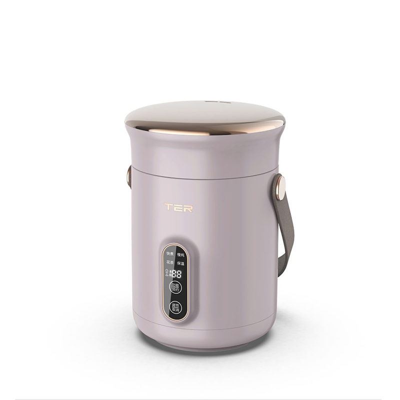 TER小电炖锅煮粥神器家用多功能迷你便携炖煮锅煲汤熬粥宝宝辅食