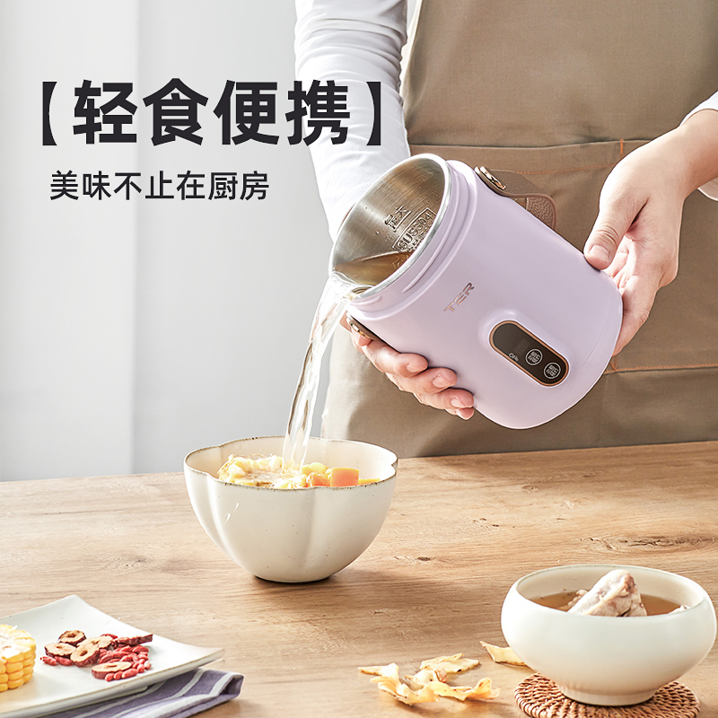 TER小电炖锅煮粥神器家用多功能迷你便携炖煮锅煲汤熬粥宝宝辅食