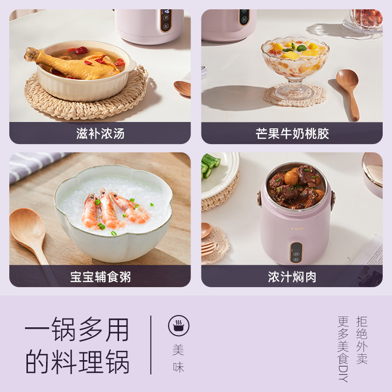 TER小电炖锅煮粥神器家用多功能迷你便携炖煮锅煲汤熬粥宝宝辅食