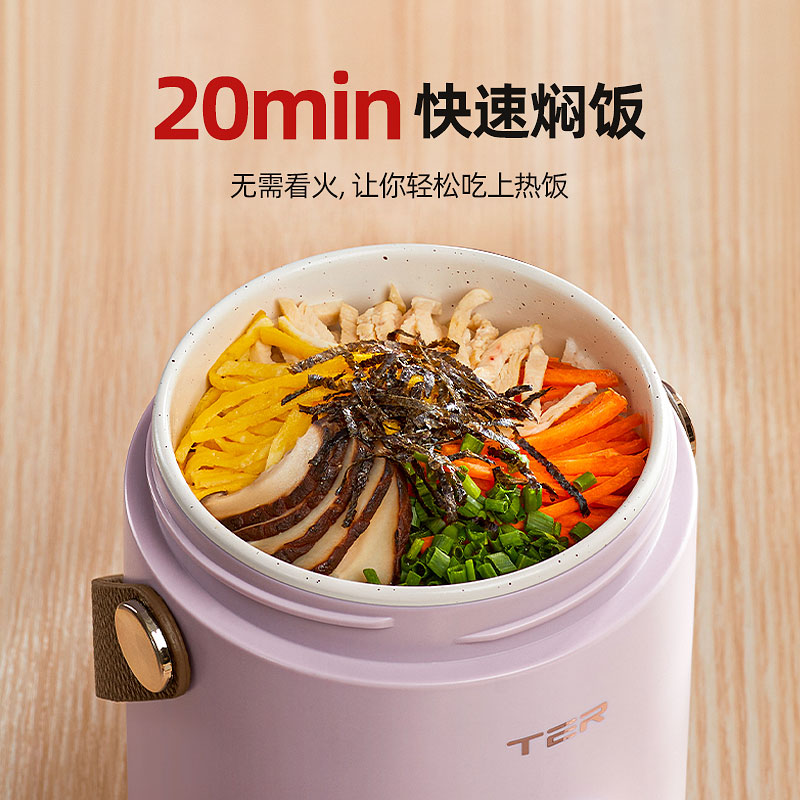 TER小电炖锅煮粥神器家用多功能迷你便携炖煮锅煲汤熬粥宝宝辅食