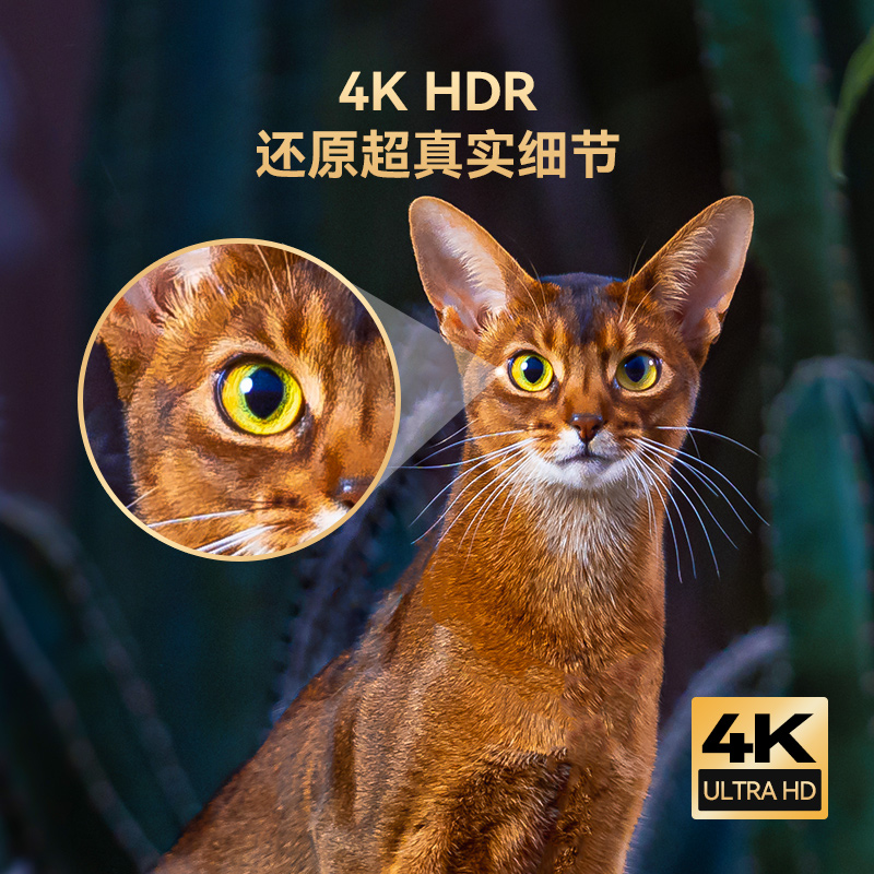 创维32/43/55/65寸超高清4K智能网络语音护眼家用液晶酷开电视机0