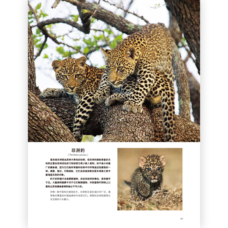 后浪正版现货 动物与自然摄影系列5册套装 濒危自然的影调自然的艺术神圣自然去非洲看动物 自然动物摄影艺术书籍