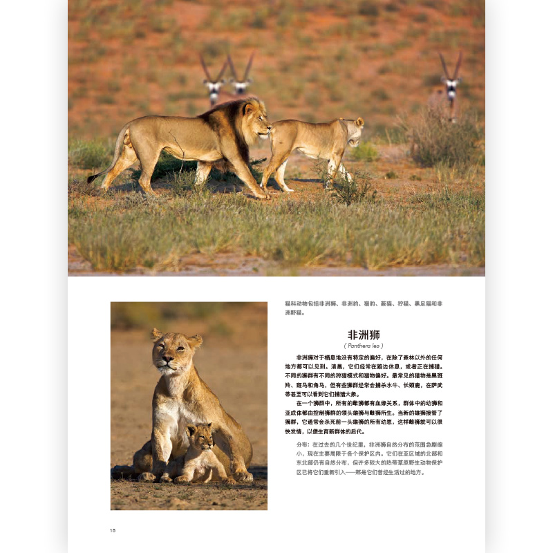 后浪正版现货 动物与自然摄影系列5册套装 濒危自然的影调自然的艺术神圣自然去非洲看动物 自然动物摄影艺术书籍