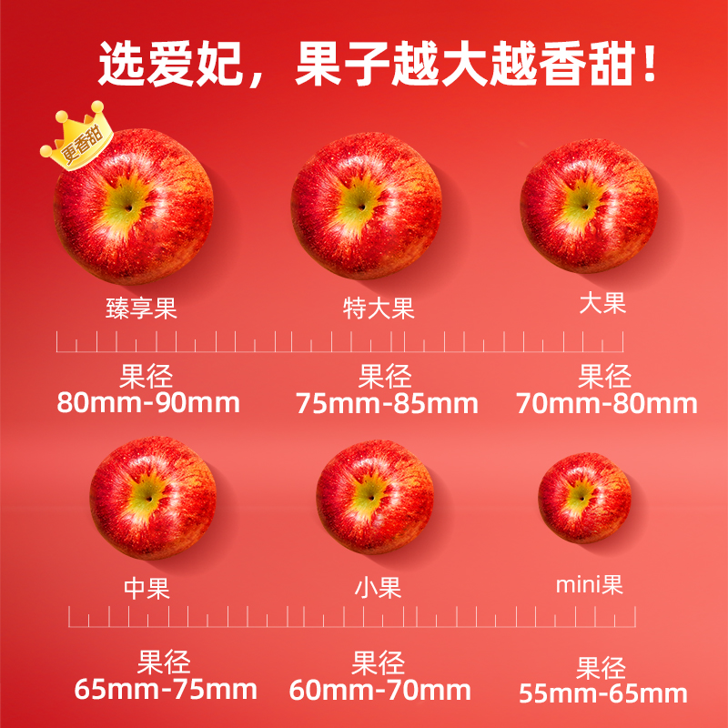 【美国季】进口爱妃苹果中果6粒高级当季新鲜水果节日年货礼盒