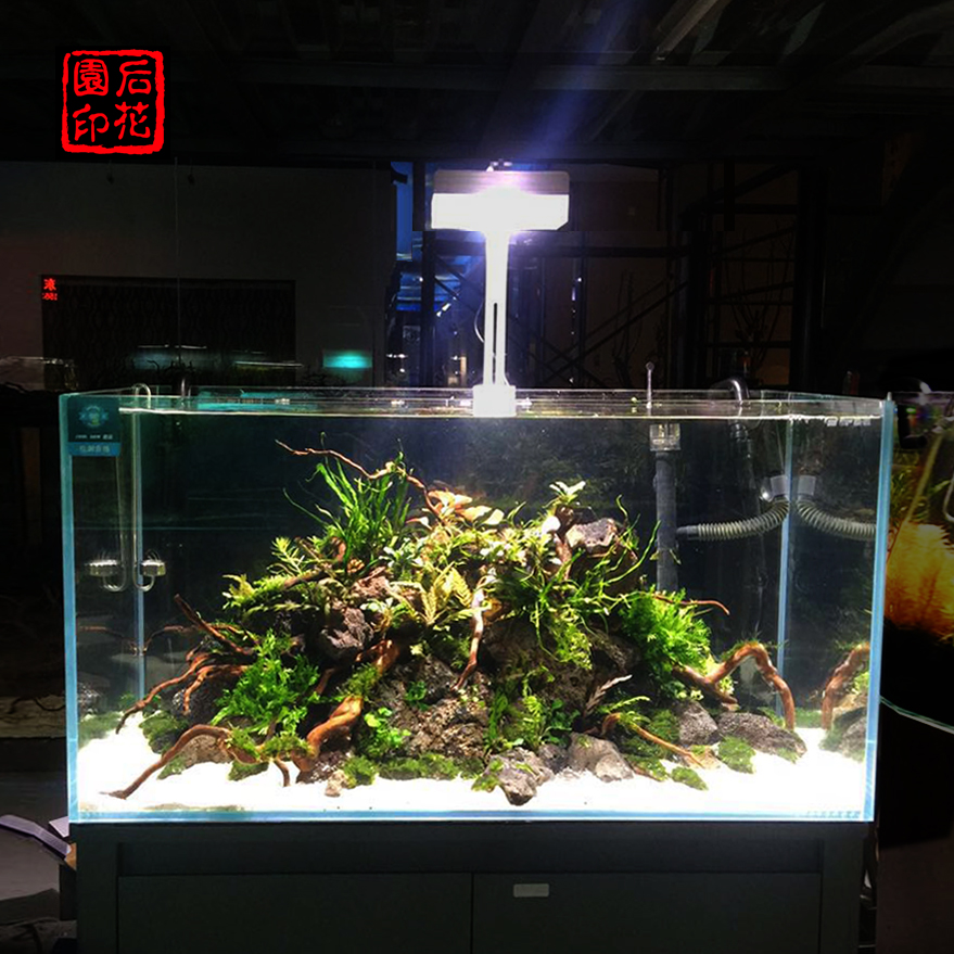 新款尼特利led水草灯 Pro版本 手机APP 新灯珠神灯筒灯支架全光谱