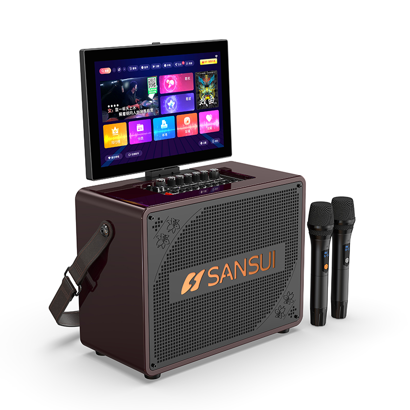 山水E25家庭ktv音响套装卡拉ok音箱功放一体机点唱机户外K歌音箱