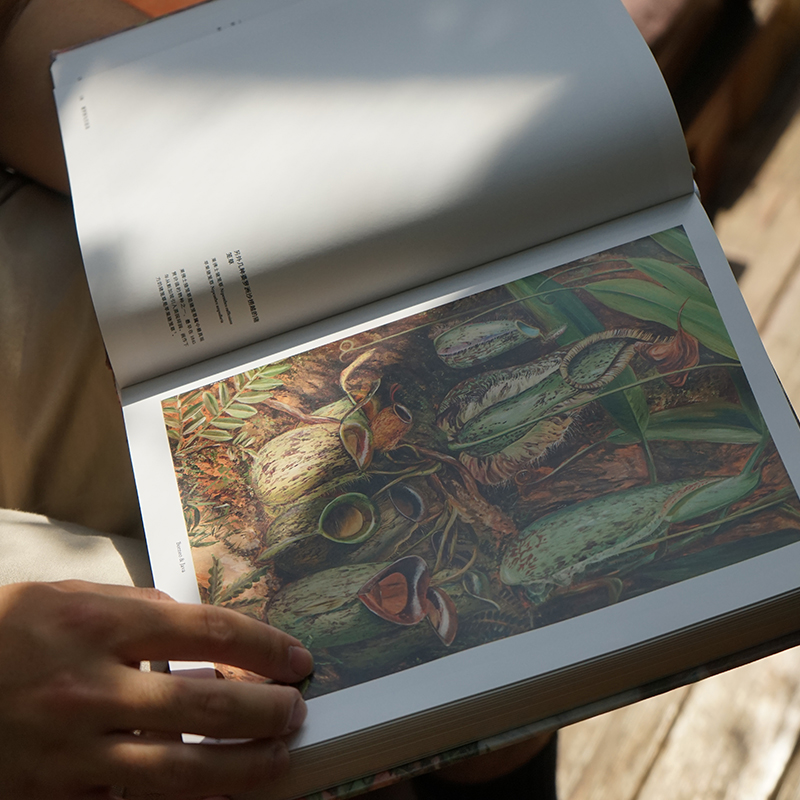 花朵与探险:玛丽安娜·诺斯的艺术世界 中国国家地理植物画册书