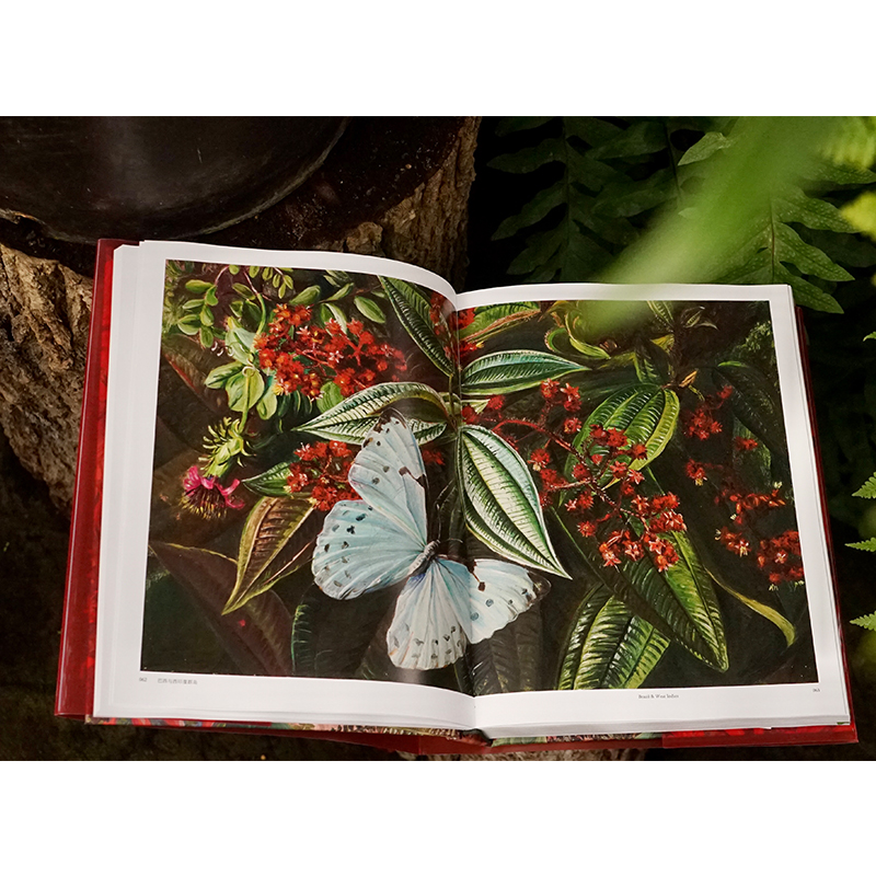 花朵与探险:玛丽安娜·诺斯的艺术世界 中国国家地理植物画册书