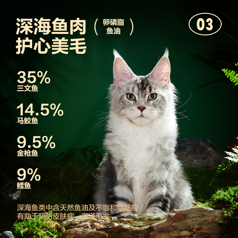 【预售】网易严选天成猫罐头主食罐85g*6罐幼猫成猫全价猫粮湿粮
