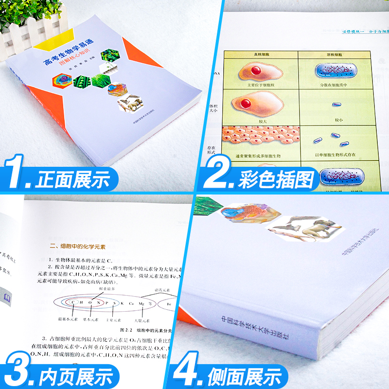 高考生物学易通图解核心知识张胜秦磊 2023高考生物知识点必修选修一题复习资料理科 高中生物学易通一本通 中科大高中生物