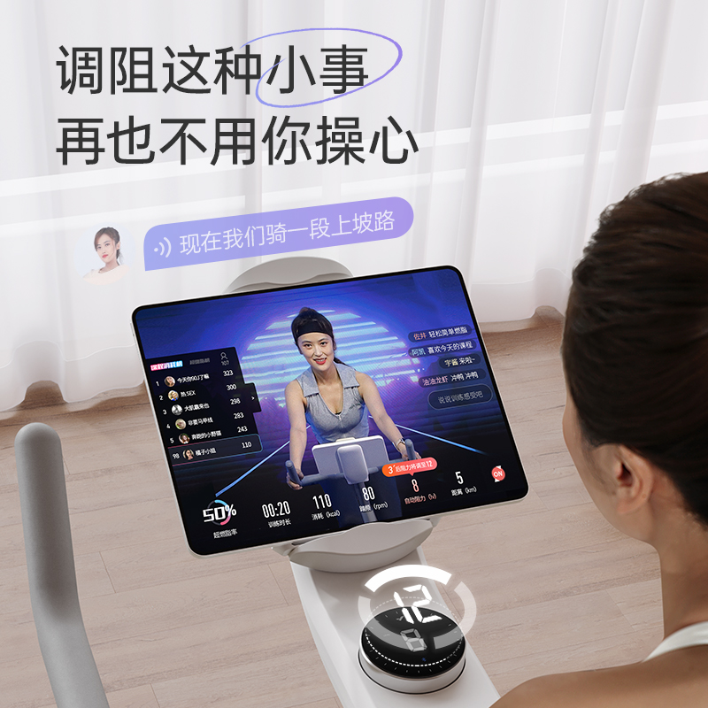 麦瑞克动感单车家用运动健身磁控自行车减肥器材室内静音智能mini