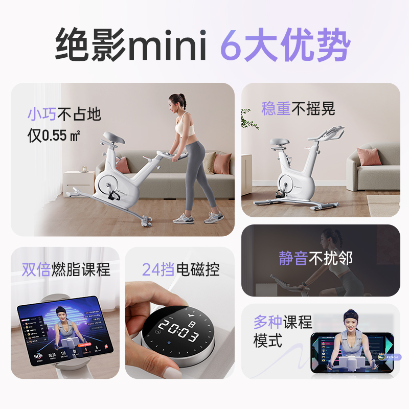 麦瑞克动感单车家用运动健身磁控自行车减肥器材室内静音智能mini