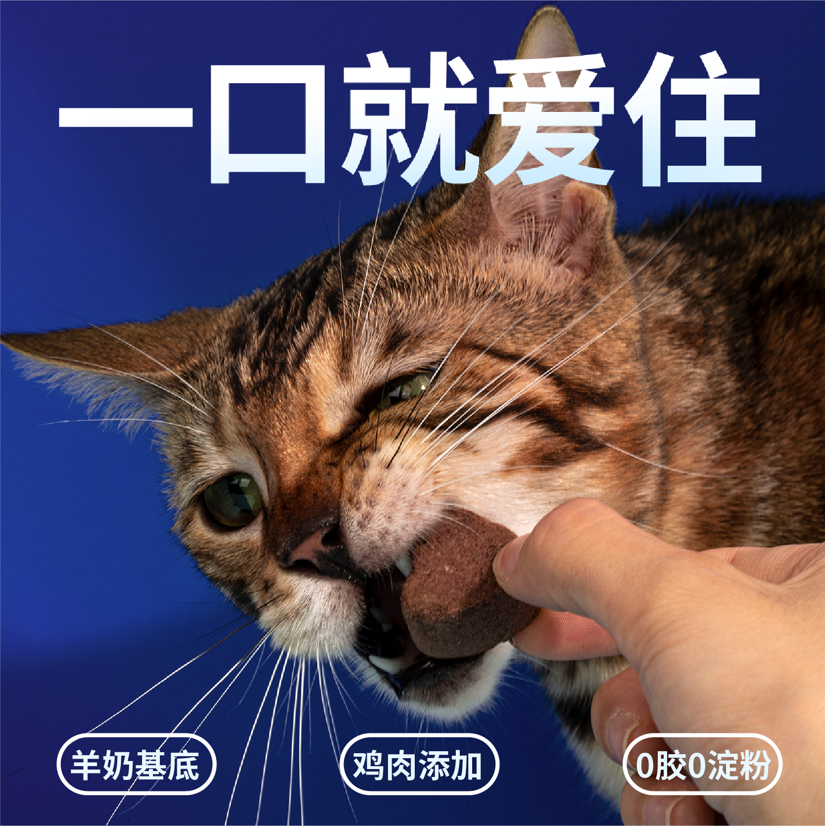 尾巴生活鸭血兔血猫冻干成幼猫补充营养增强免疫补铁猫咪冻干零食