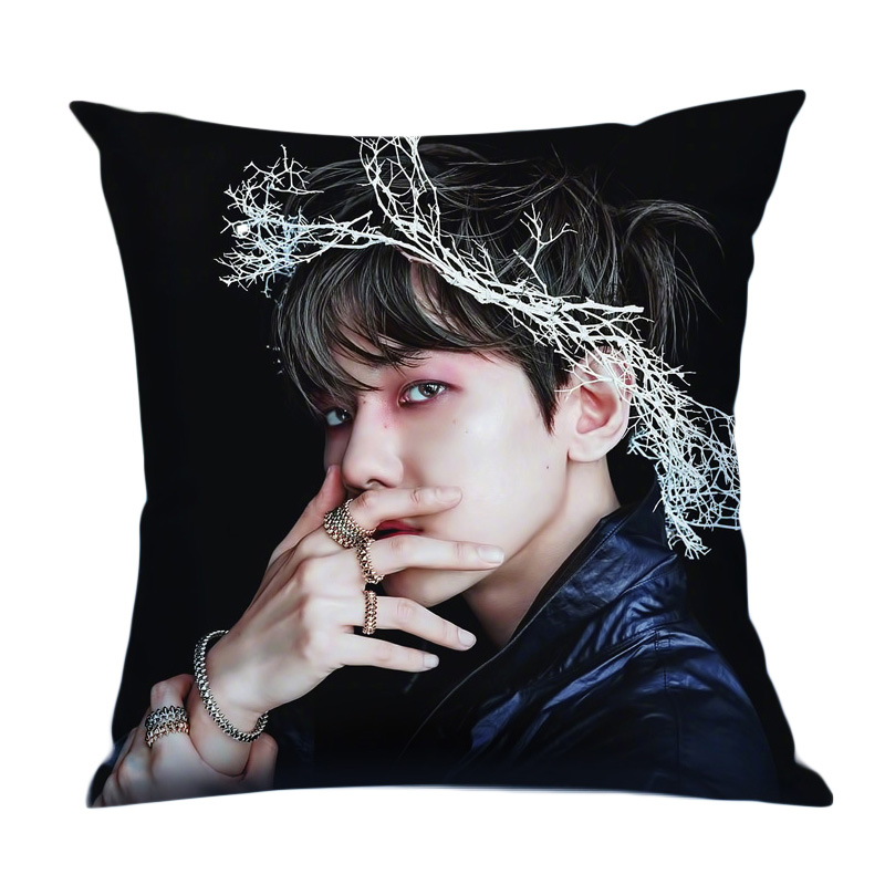 边伯贤抱枕定制人形明星exo12人自己照片头像双面枕头可拆洗周边