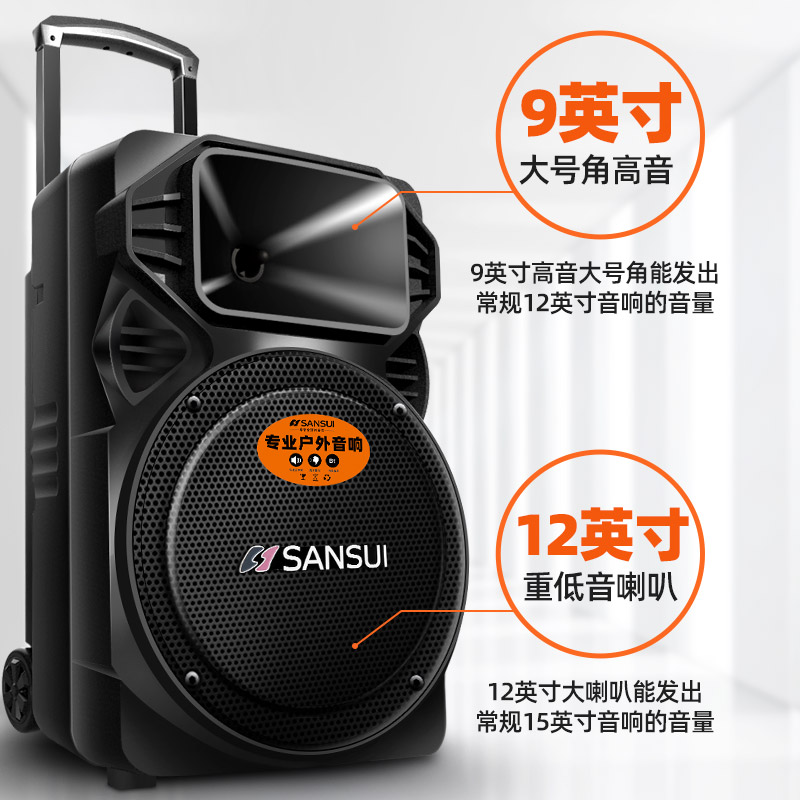 山水A12-66广场舞音响户外音箱K歌移动拉杆带无线话筒便携式ktv