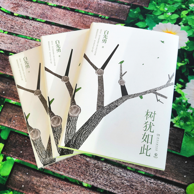树犹如此2022 白先勇亲定选本 精装珍藏版 代表作寂寞的十七岁 台北人 纽约客孽子中国现当代文化散文书籍 热卖博集天卷 现货包邮