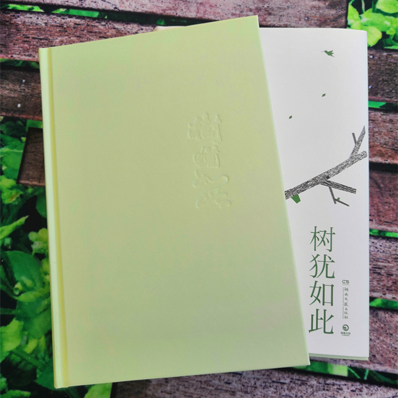 树犹如此2022 白先勇亲定选本 精装珍藏版 代表作寂寞的十七岁 台北人 纽约客孽子中国现当代文化散文书籍 热卖博集天卷 现货包邮