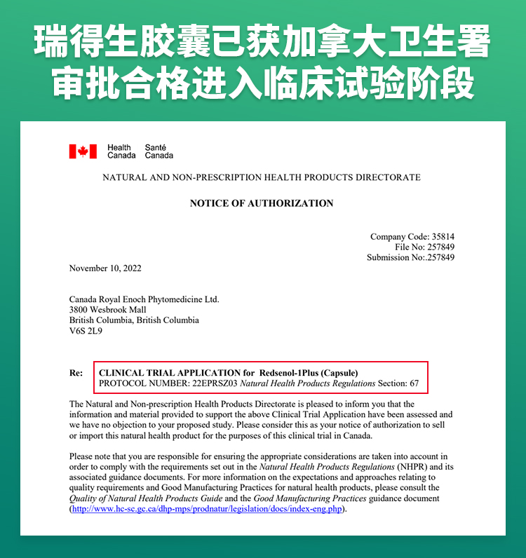 瑞得生滴丸加拿大进口稀有人参皂苷Rh3,aPPD,Rg5,Rk2 不含Rh2,Rg3