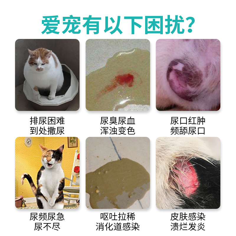 八牧恩诺沙星片猫狗专用利尿通猫咪尿路感染药宠物泌尿系统消炎药