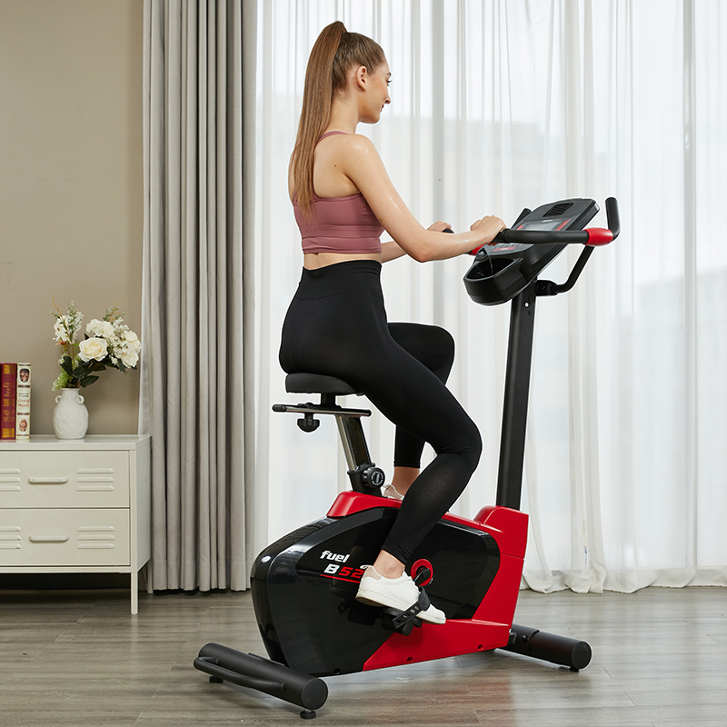 DYACO岱宇健身车家用动感单车电磁控静音原装进口智能室内单车B52