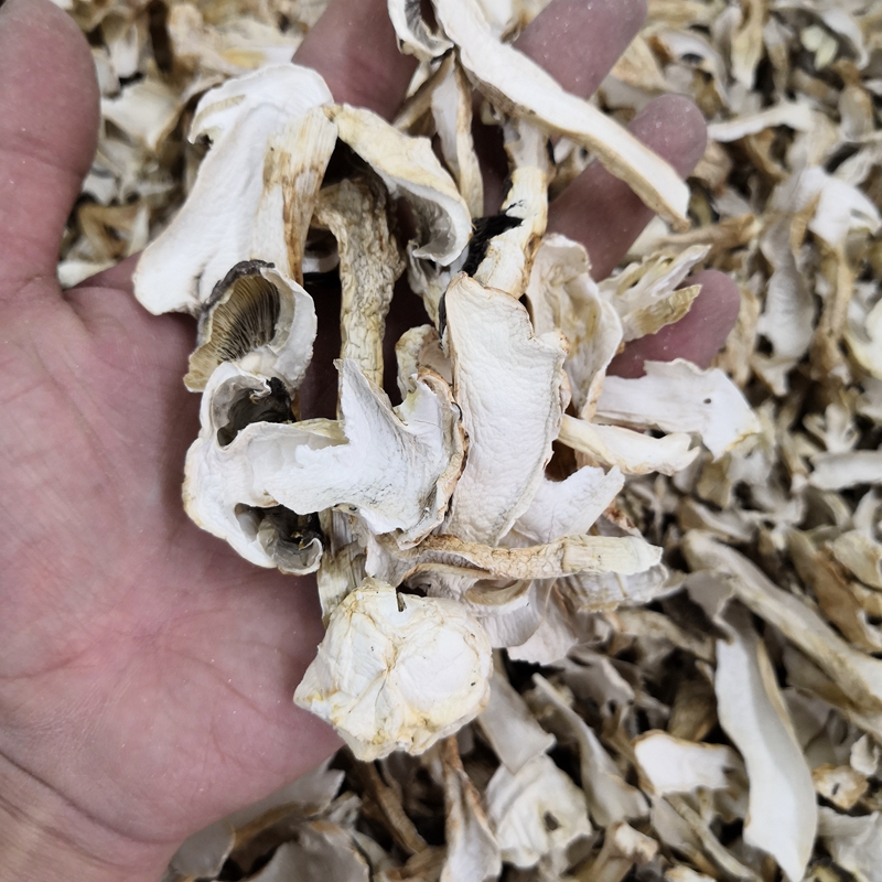 雪山松茸干片 采购大量价格更优惠云南特产菌类都有500克一斤装