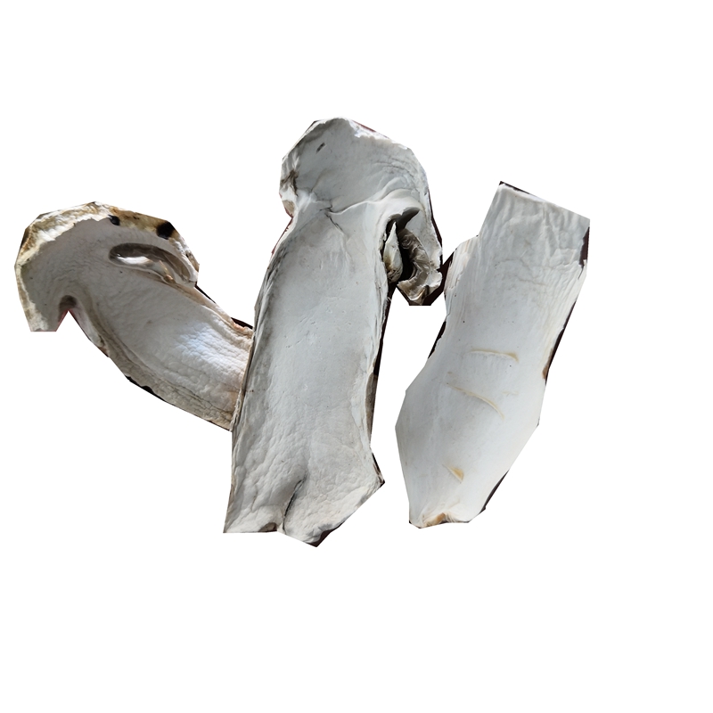 雪山松茸干片 采购大量价格更优惠云南特产菌类都有500克一斤装