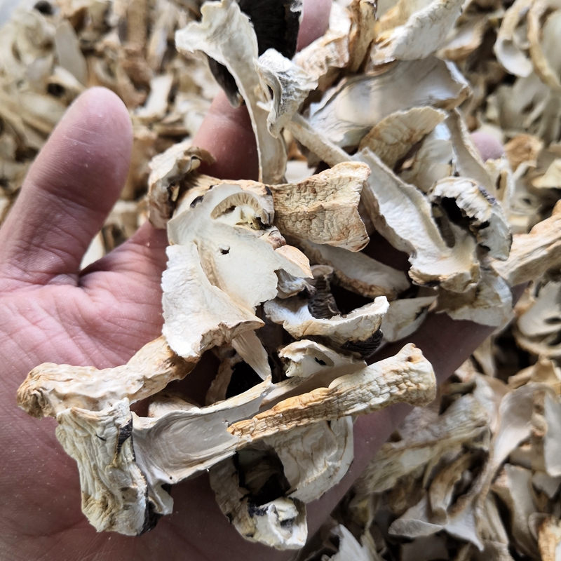 雪山松茸干片 采购大量价格更优惠云南特产菌类都有500克一斤装