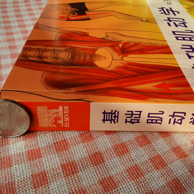当当网 基础肌动学:第3版(肌骨骼功能解剖,康复医学基础)肌肉骨骼系统功能解剖与临床详解,物理师基础 正版书籍