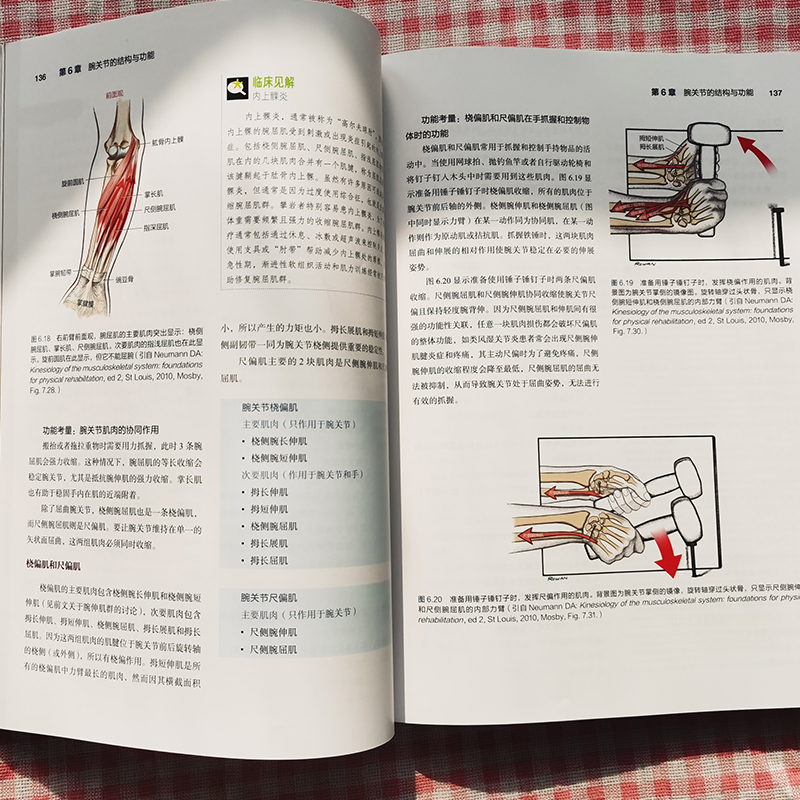 当当网 基础肌动学:第3版(肌骨骼功能解剖,康复医学基础)肌肉骨骼系统功能解剖与临床详解,物理师基础 正版书籍