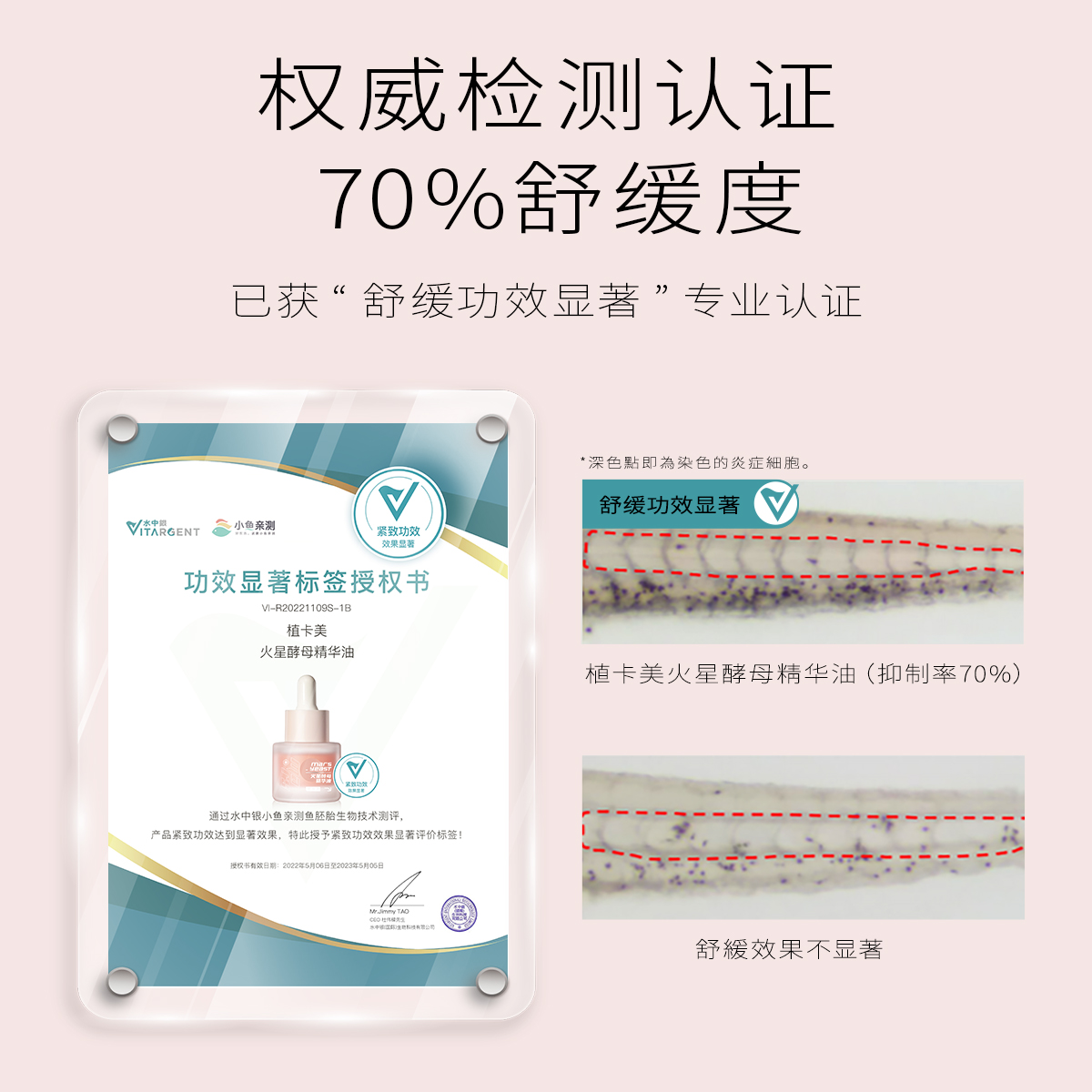 【明星推荐以油抗老】植卡美粉酵母修护抗氧紧致提亮高活性精华油