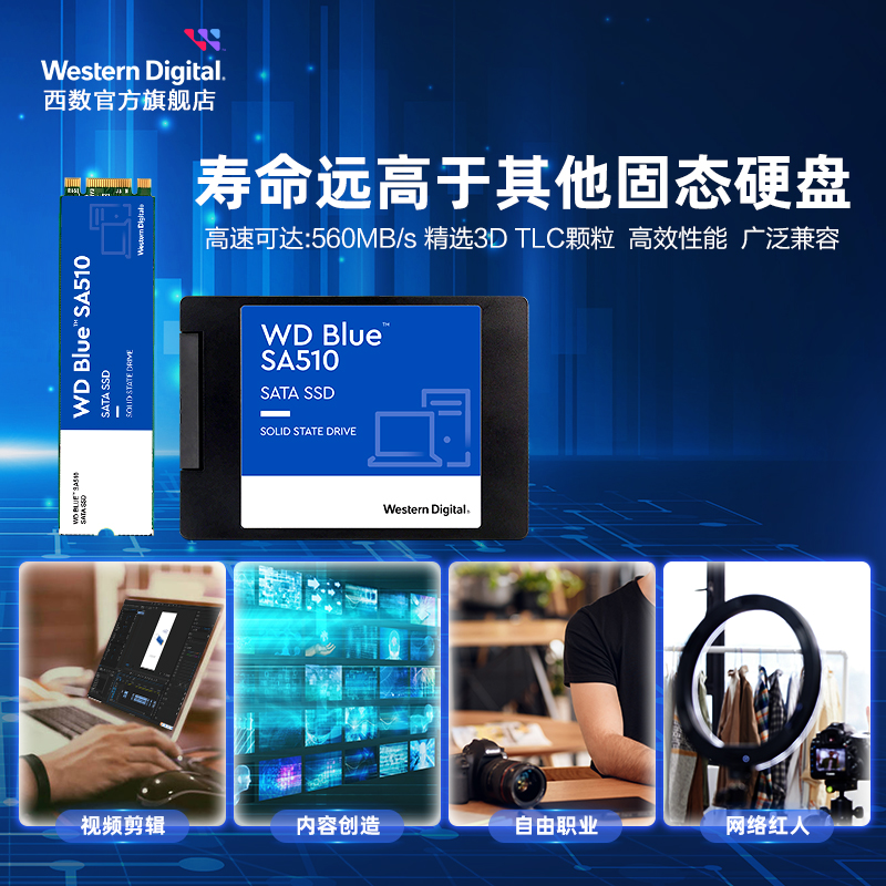 WD西数固态硬盘250g 500g 1t 2.5寸笔记本SSD 1tb台式电脑SA510