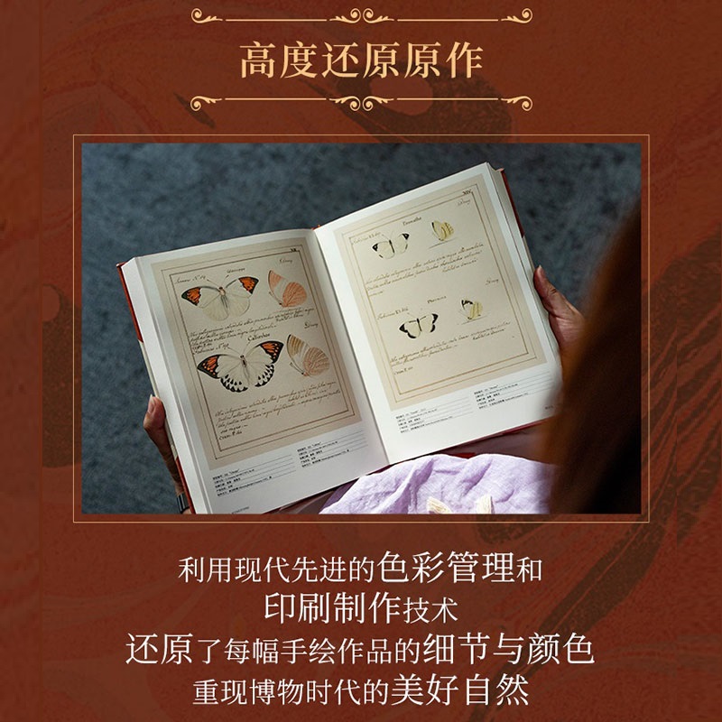 蝴蝶圣经+踏云跃金(玫瑰金色)-架子 牛津大学典藏图谱 理查德I文赖特等著 涵盖1600幅画作856个物种 中信出版社图书