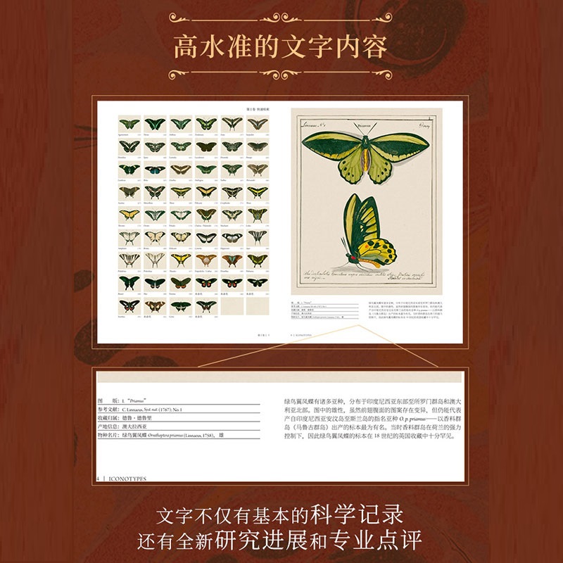 蝴蝶圣经+踏云跃金(玫瑰金色)-架子 牛津大学典藏图谱 理查德I文赖特等著 涵盖1600幅画作856个物种 中信出版社图书
