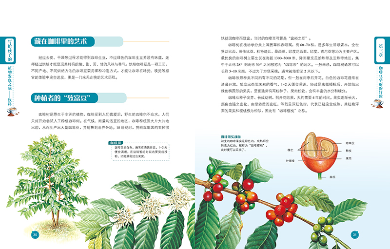 写给孩子的植物发现之旅(全4册) 小牛顿 一场植物“冷知识”的大揭秘, 看小小植物如何在人类的历史长河中“兴风作浪” 科普