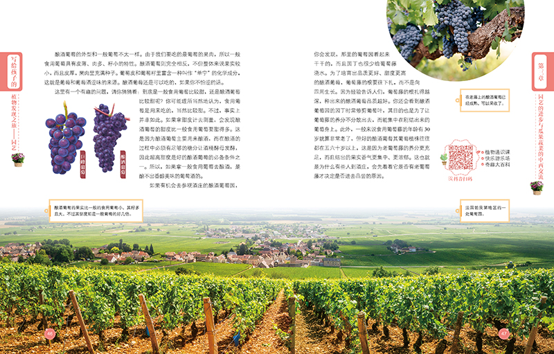 写给孩子的植物发现之旅(全4册) 小牛顿 一场植物“冷知识”的大揭秘, 看小小植物如何在人类的历史长河中“兴风作浪” 科普