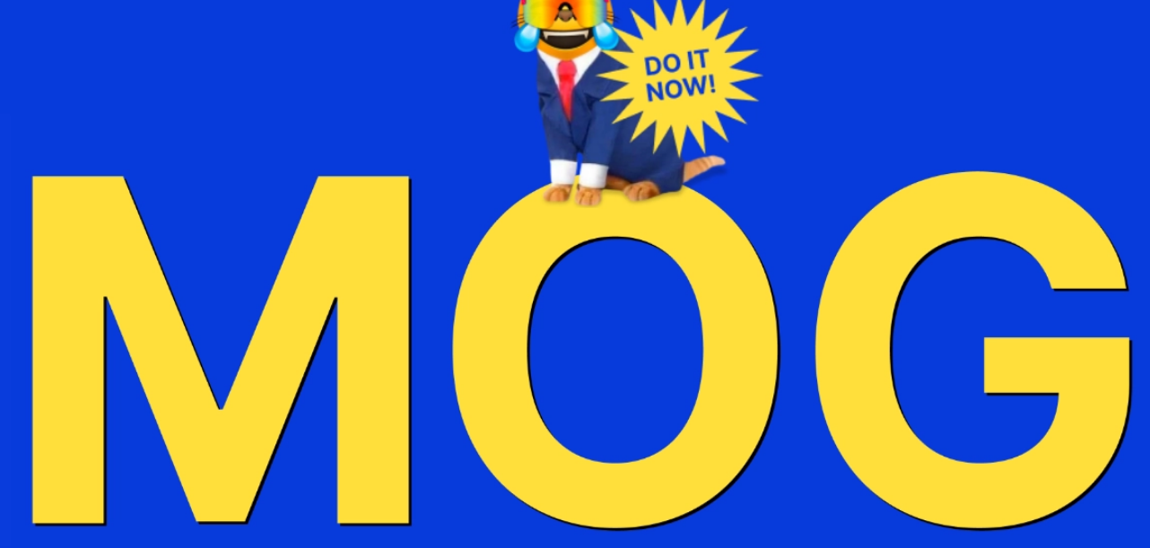 MOG币怎么样?值得持有吗?