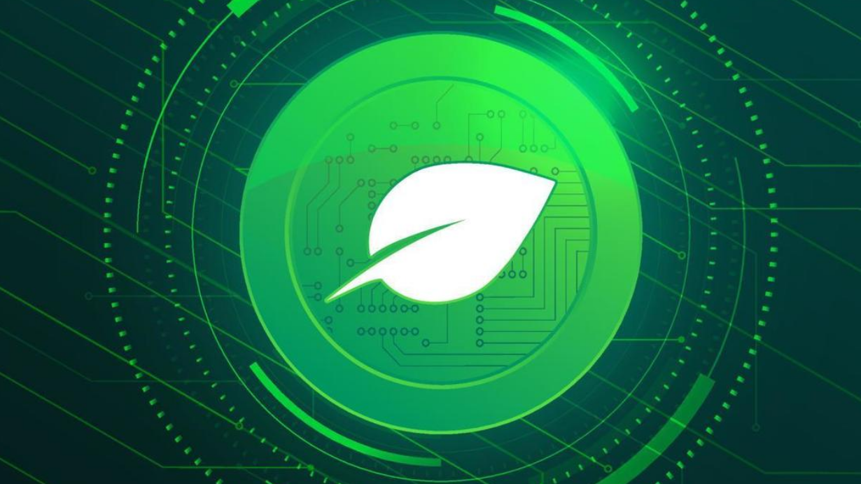 奇亚币还有希望吗