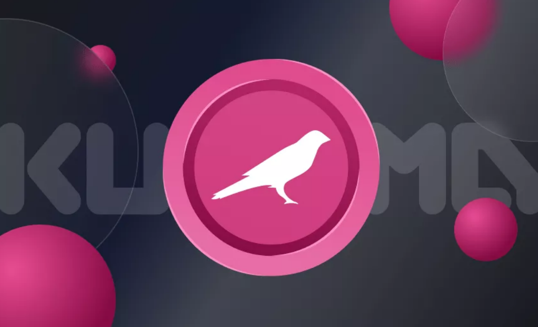 ksm币有上涨潜力吗