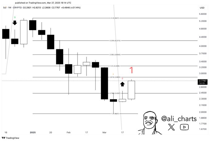 资料来源：Ali Martinez/X