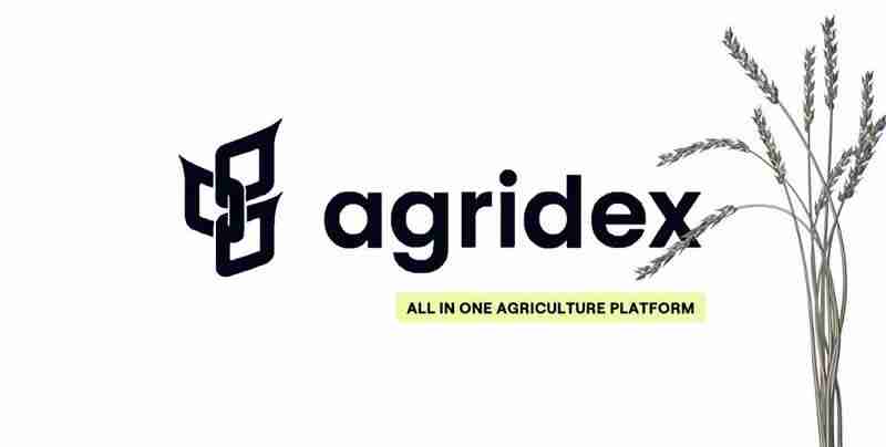 什么是AgriDex?团队、成就、代币经济学和代币分配介绍