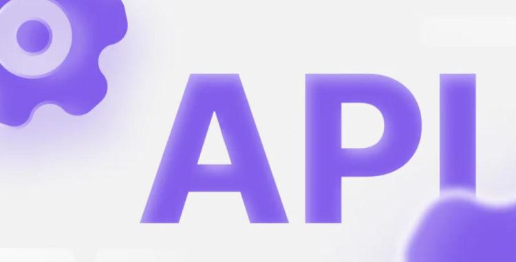 API币与IP币对比