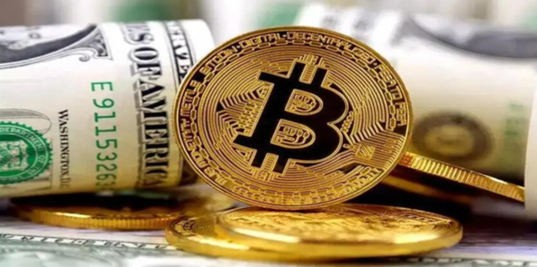 一文了解：币圈老币种是指什么