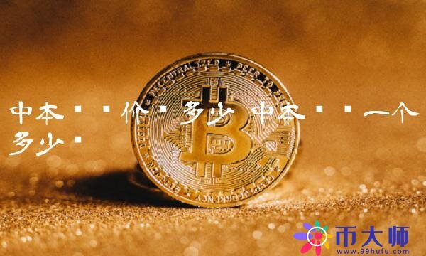 中本聪币价值探讨