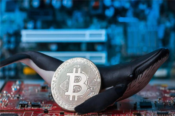 link币是空气币吗