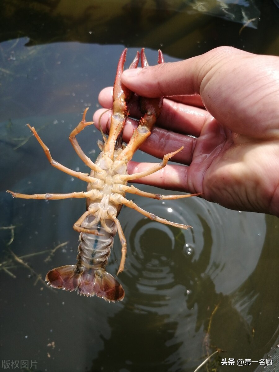 家庭烹饪小龙虾