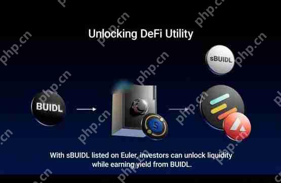 一文了解securitize推出sbuidl登陆avalanche链euler