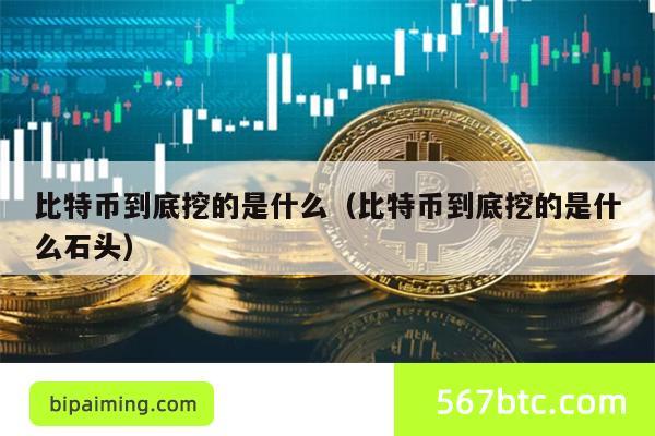 比特币到底挖的是什么(比特币到底挖的是什么石头)