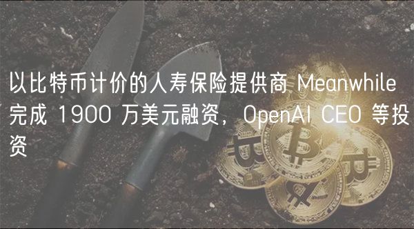 以比特币计价的人寿保险提供商 Meanwhile 完成 1900 万美元融资，OpnAI CO 等投资-第1张图片-本站