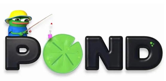 KOL发币暴雷事件